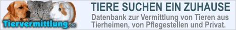 Tiervermittlung Banner